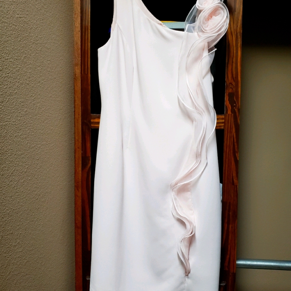 Dress.. I've never worn it. Had it dry cleaned for